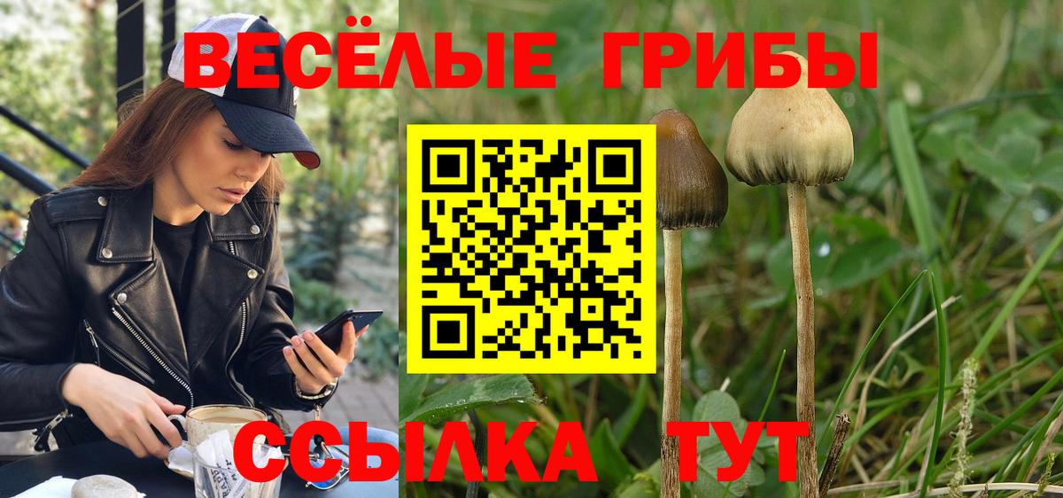 Псилоцибиновые грибы мицелий Лыткарино